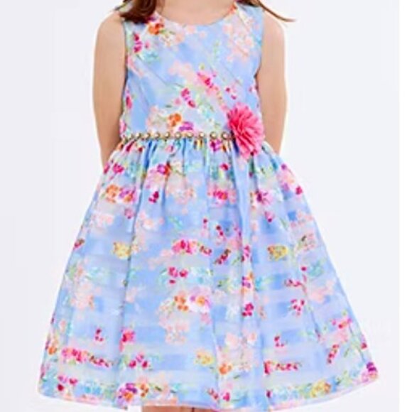 BNWT Bonnie Jean Big Girls Sleeveless Fit + Flare Premium Dress (16) - Picture 1 of 10